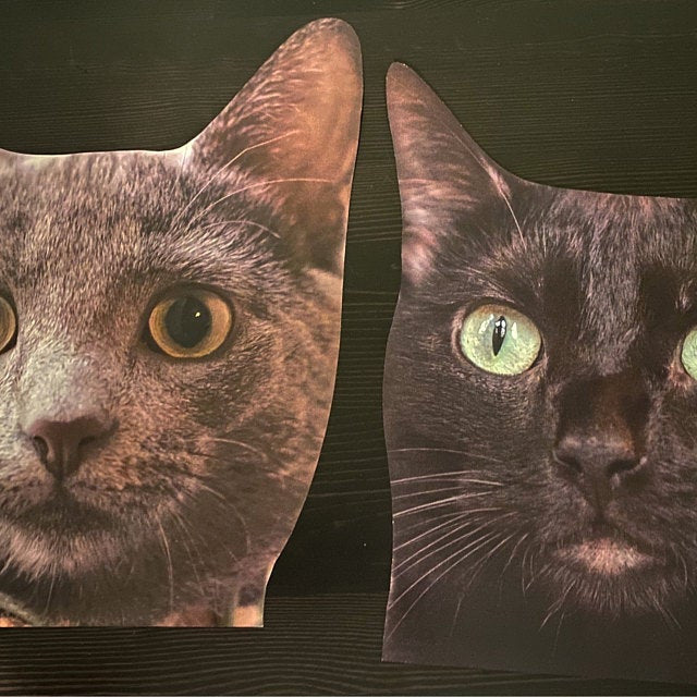 Custom Pet Head Cutouts