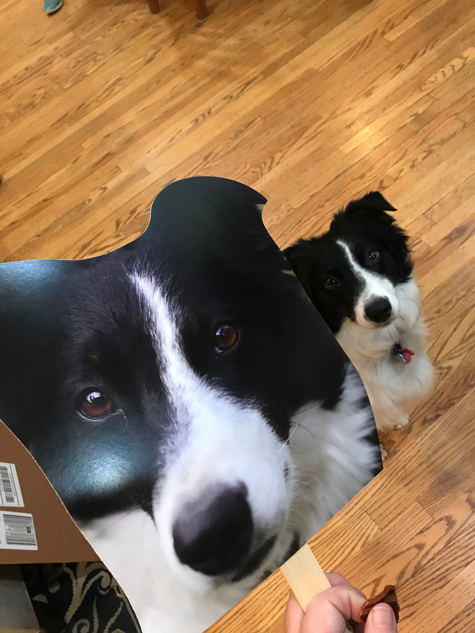 Custom Pet Head Cutouts