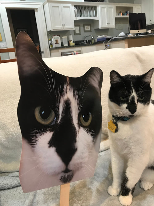 Custom Cat Head Cutouts