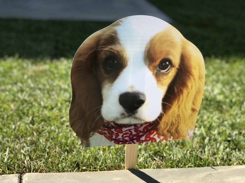 Custom Pet Head (ten-pack)