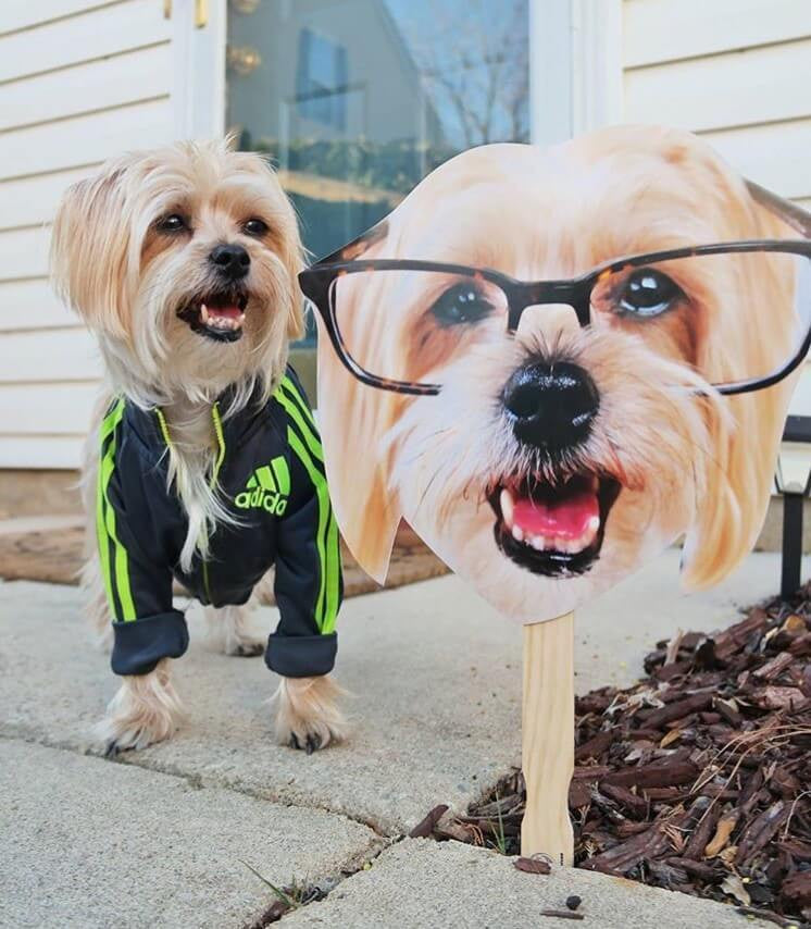 Custom Dog Head Cutouts