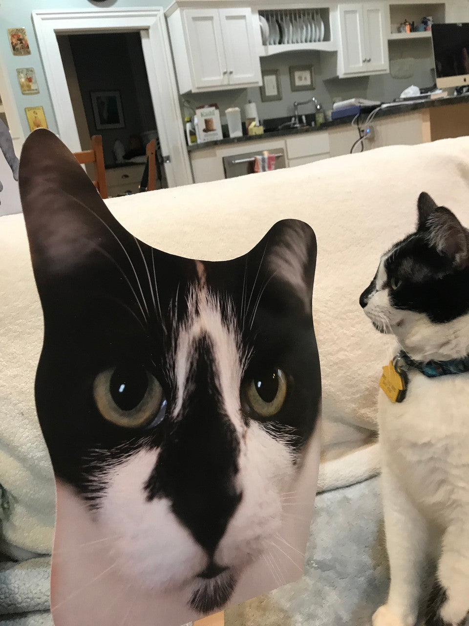 Custom Pet Head Cutouts