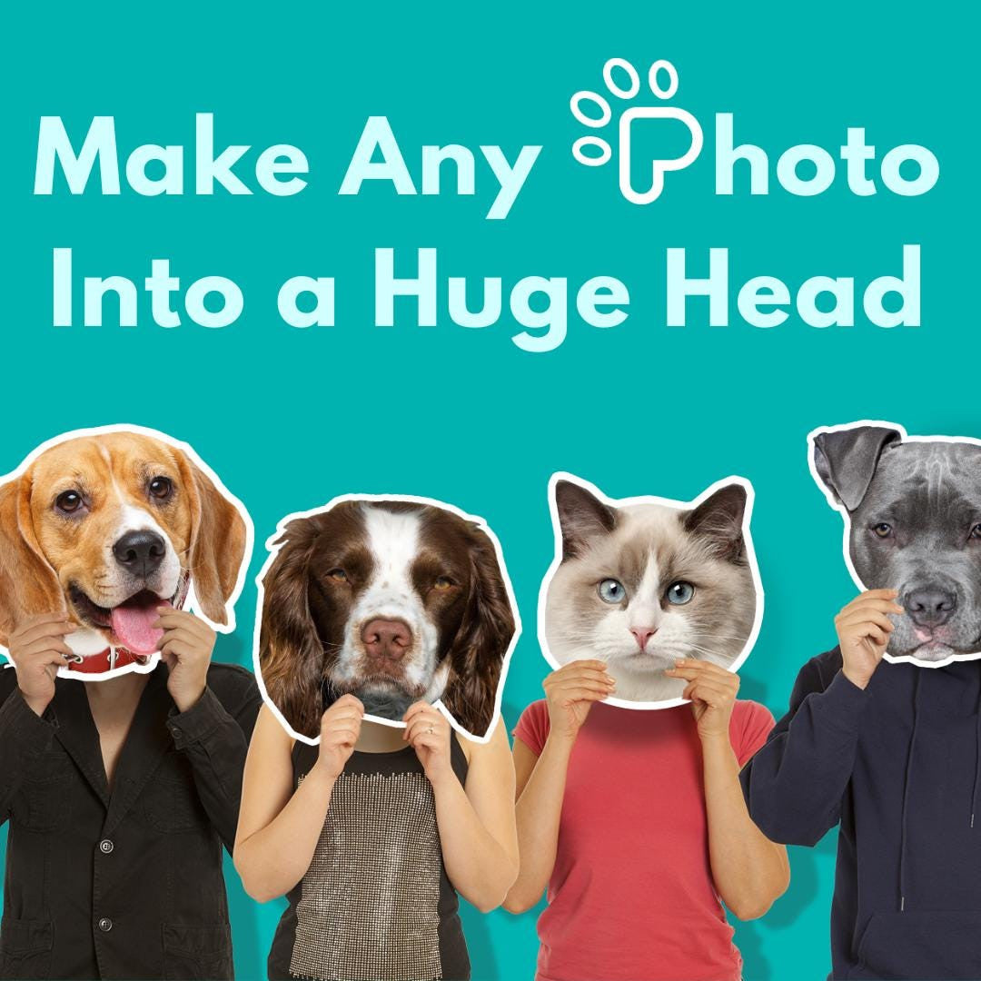 Custom Huge Head Cutouts