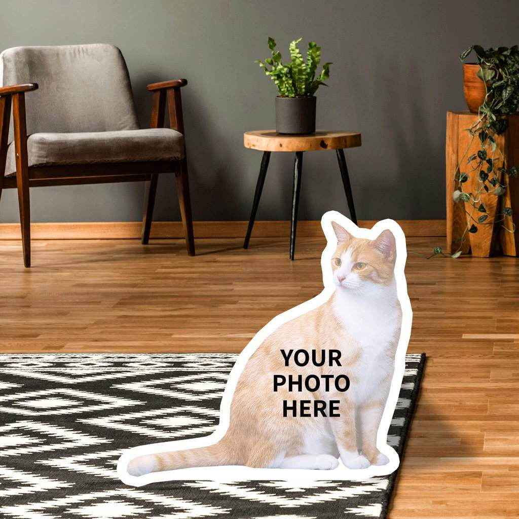 Custom Cat Standups