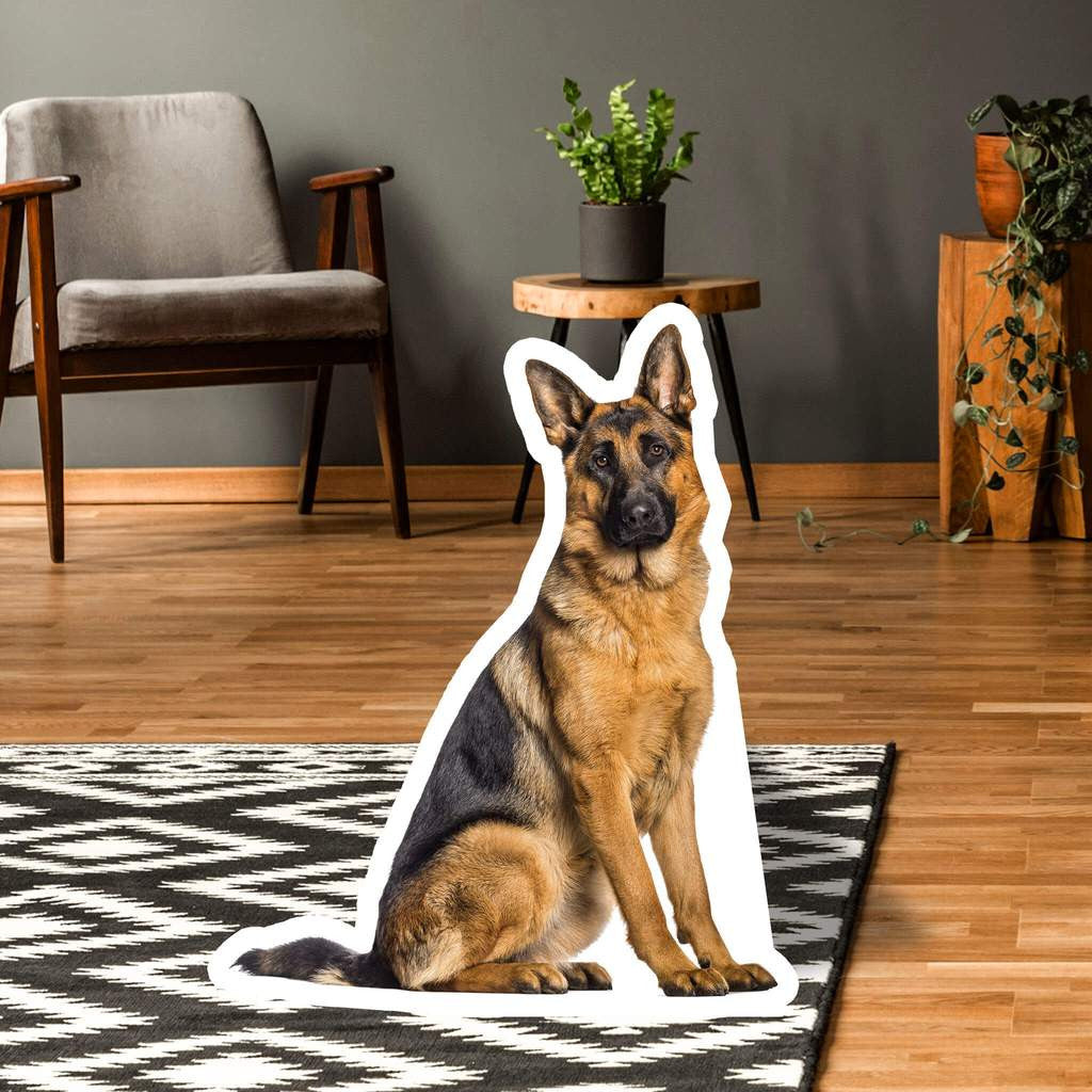 Standups for Pets (custom)